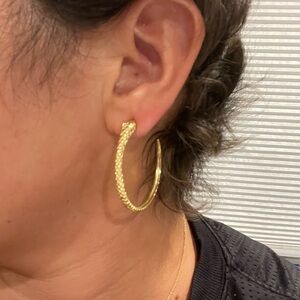 Elegant Gold Hoop Earrings